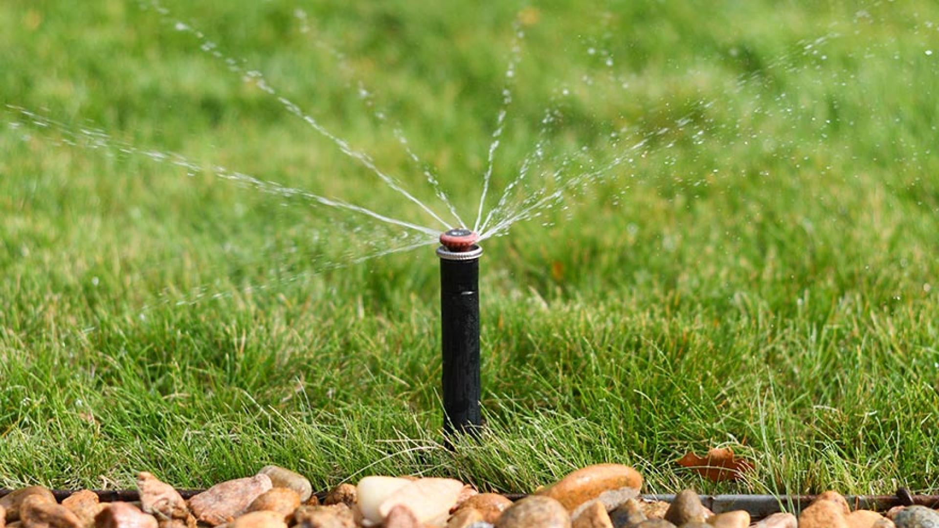Sprinkler spraying out water.