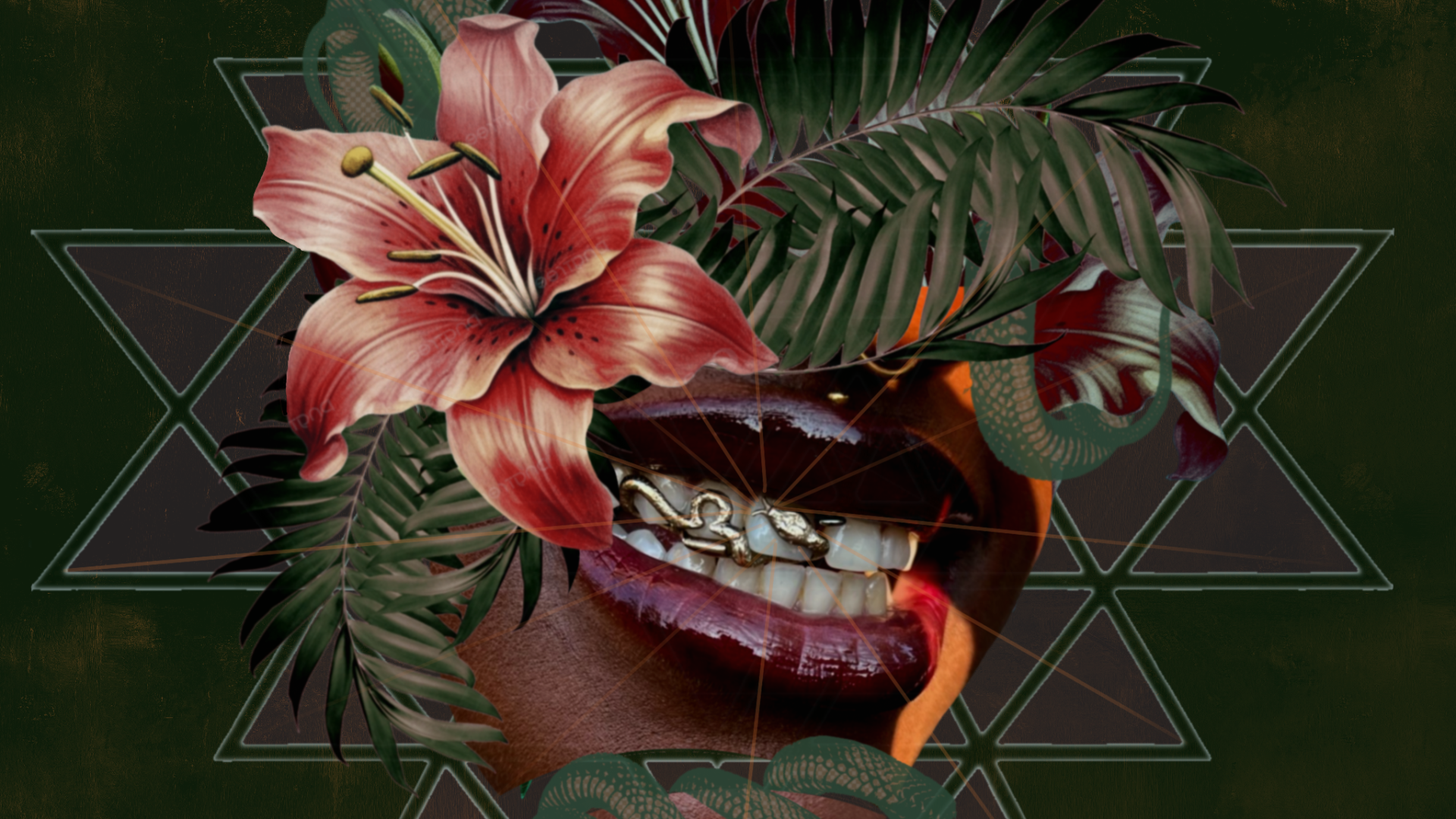 Pink lily flower with green leaves and open mouth in center