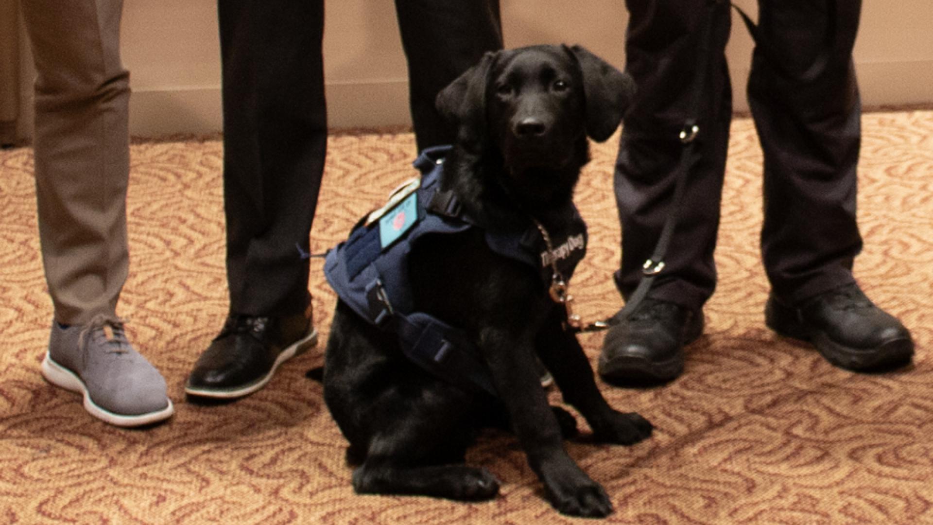 Council Presentation Photo from April 28, 2026 (Photo 03)