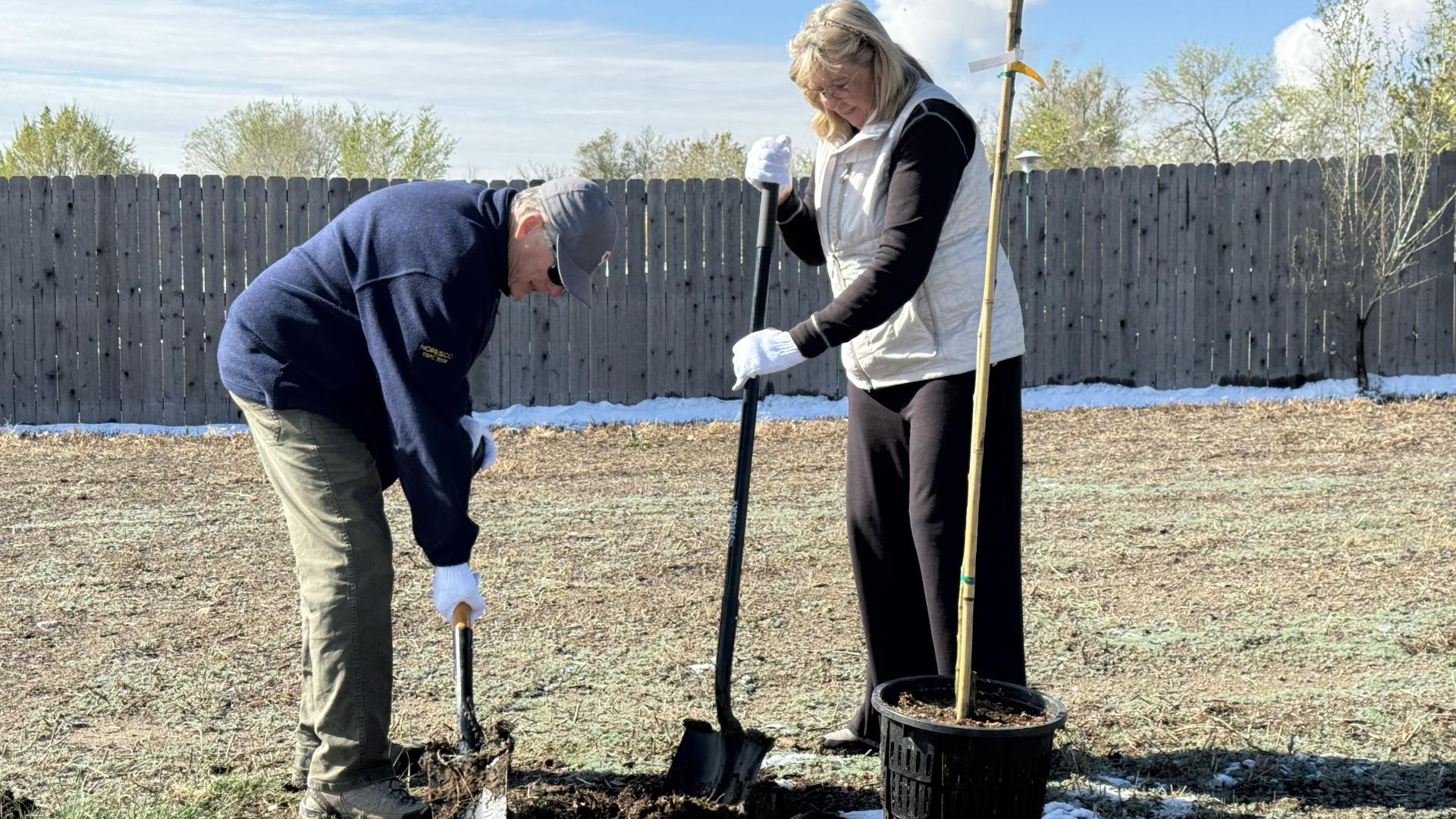 Volunteers planting trees for Arbor Day