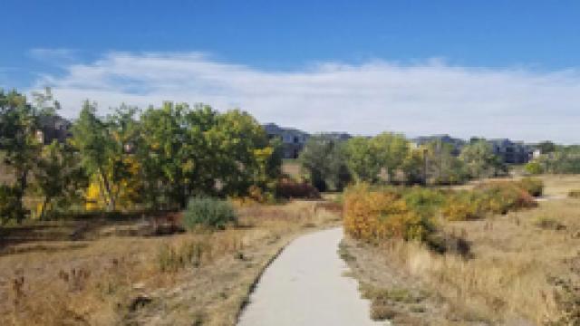 Niver Open Space