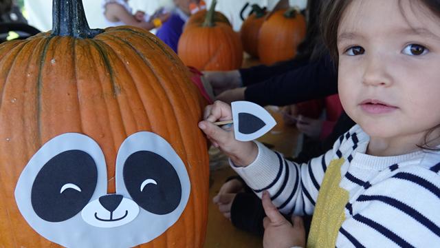 Young girl decorating a pumpkin.