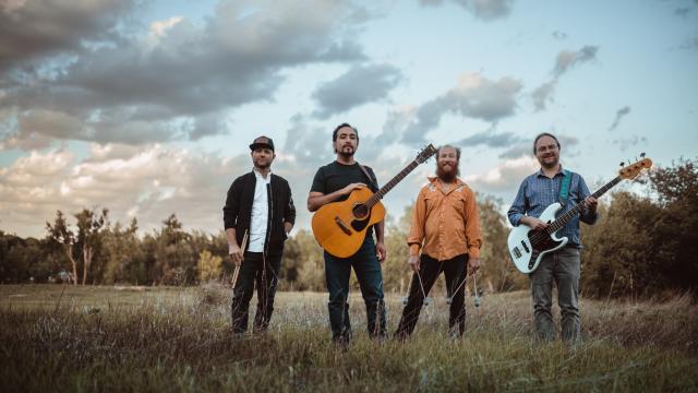 Four musicians stand in a grassy field at dusk, posing with their instruments including an acoustic guitar, bass guitar, and percussion. Trees and a cloudy sky fill the background, creating a relaxed outdoor band portrait.