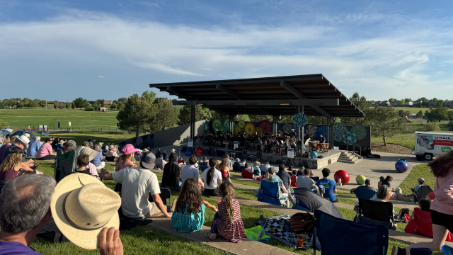 A lively outdoor concert in the park with a large crowd gathered on the grass, facing a stage set up at the front for live music. 