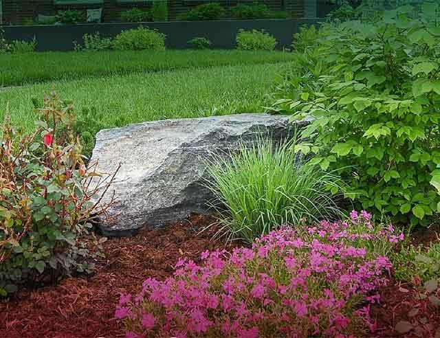 Water-wise garden with a grey rock, flowers and plants.